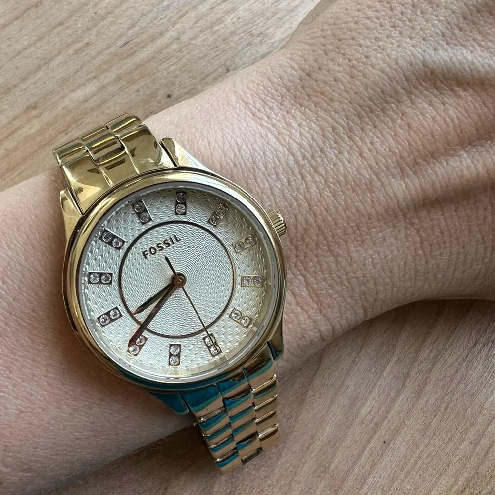 Fossil brand model